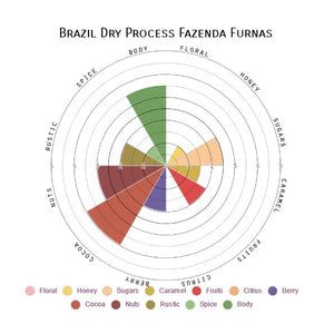 Brazil Dry Process Fazenda Furnas