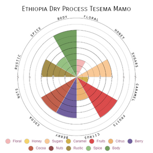 Ethiopia Dry Process Tesema Mamo