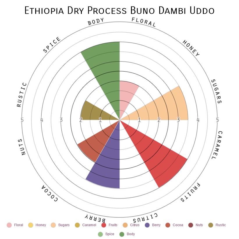 Ethiopia Buno Dambi Uddo - Dry Processed