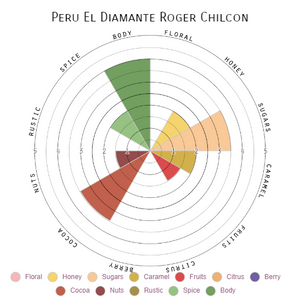 Peru El Diamante Roger Chilcon
