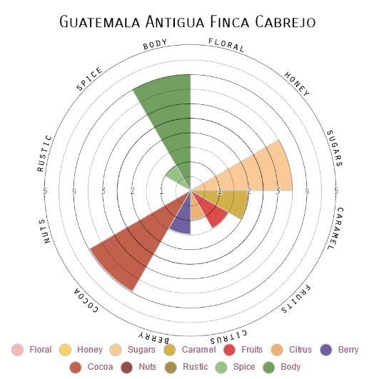Guatemala Antigua Finca Cabrejo