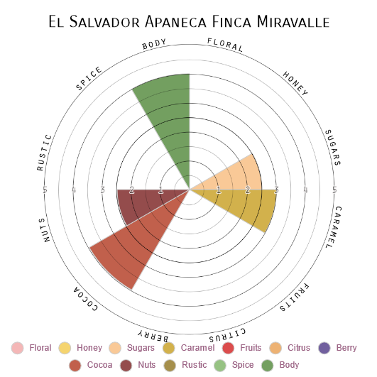El Salvador Apaneca Finca Miravalle