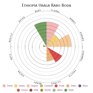 Ethiopia Uraga Raro Boda